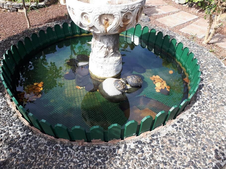 Apartamento Tranquilo En Una Casa Con Jardin San Cristóbal de La Laguna Exterior foto