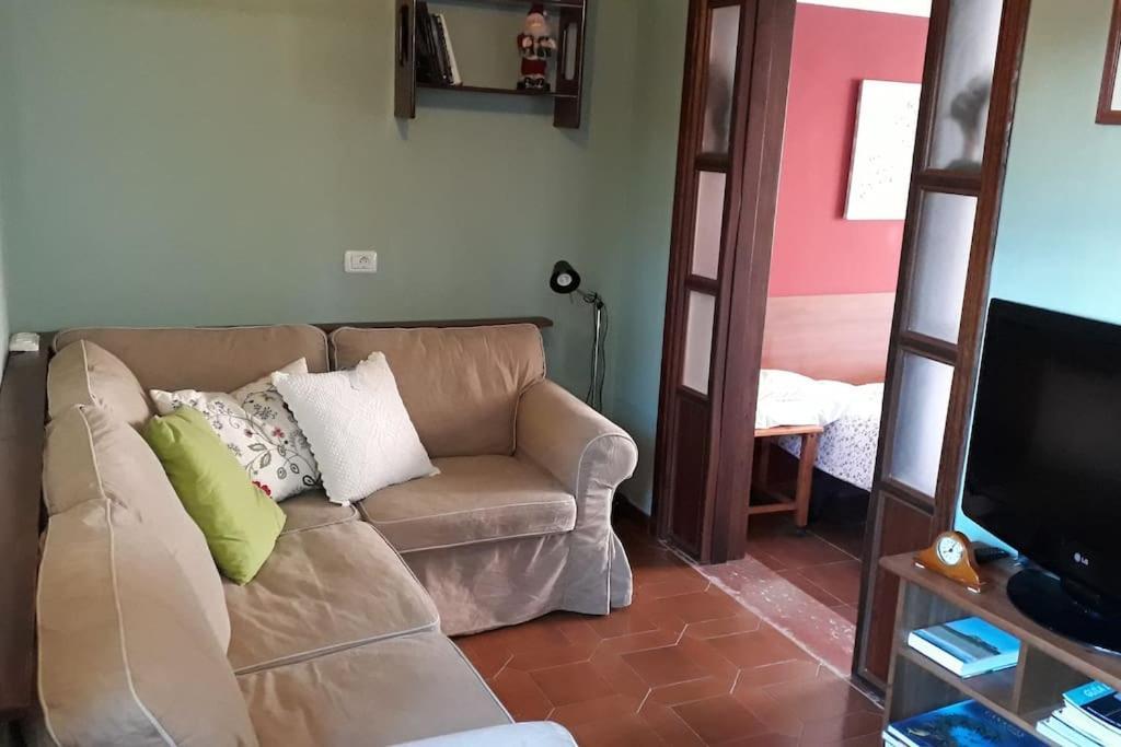 Apartamento Tranquilo En Una Casa Con Jardin San Cristóbal de La Laguna Exterior foto