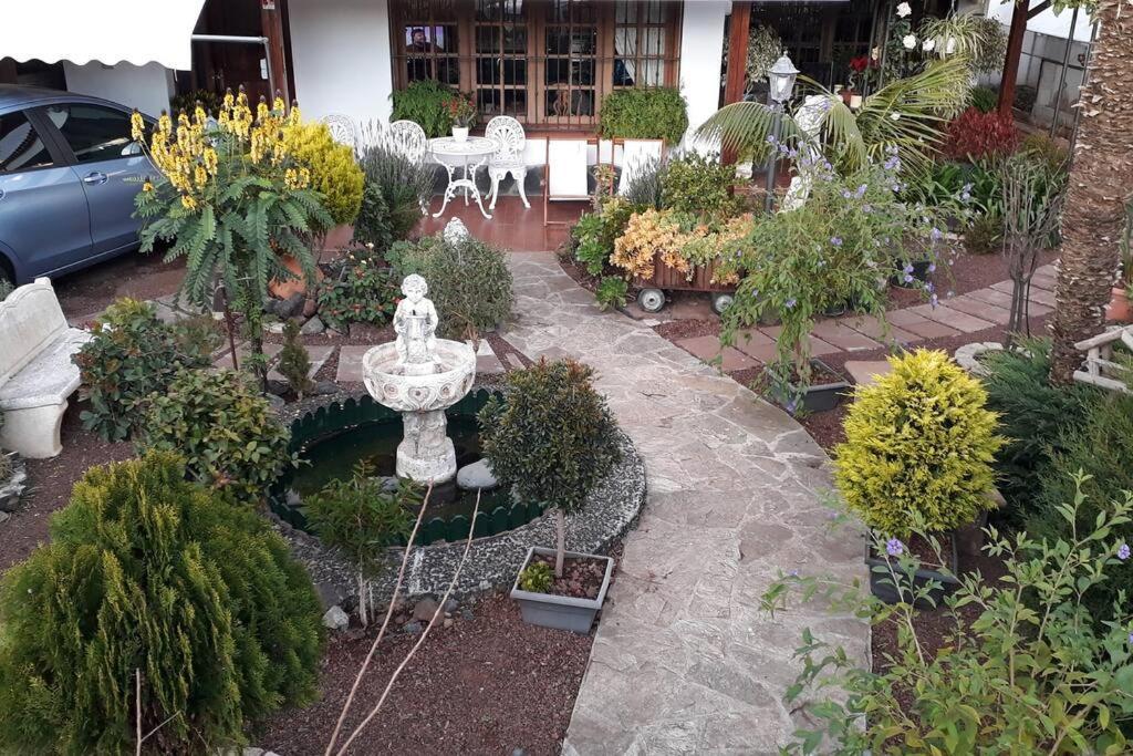 Apartamento Tranquilo En Una Casa Con Jardin San Cristóbal de La Laguna Exterior foto