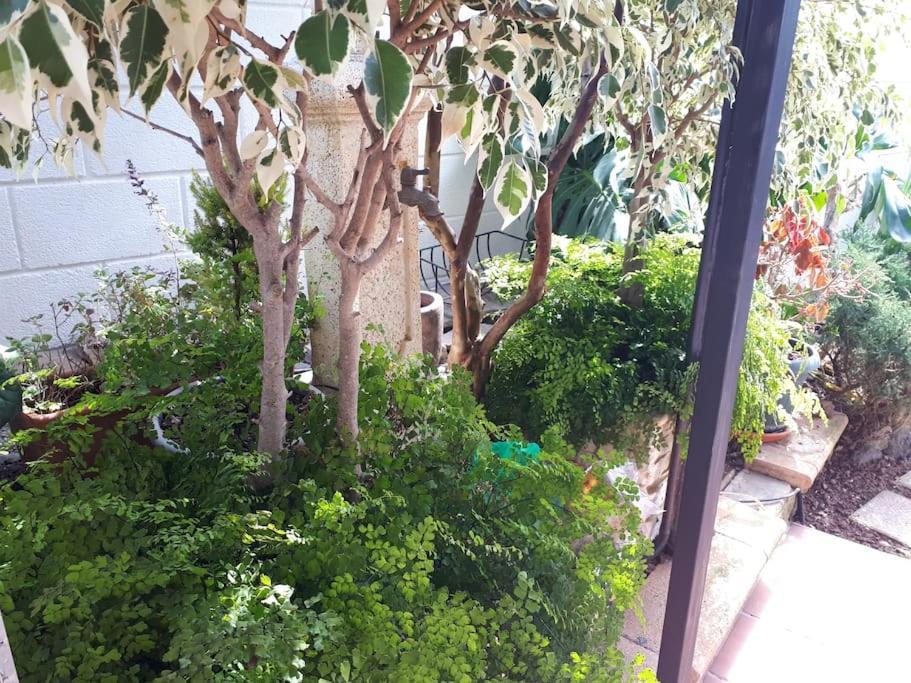 Apartamento Tranquilo En Una Casa Con Jardin San Cristóbal de La Laguna Exterior foto