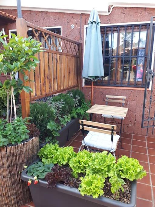 Apartamento Tranquilo En Una Casa Con Jardin San Cristóbal de La Laguna Exterior foto