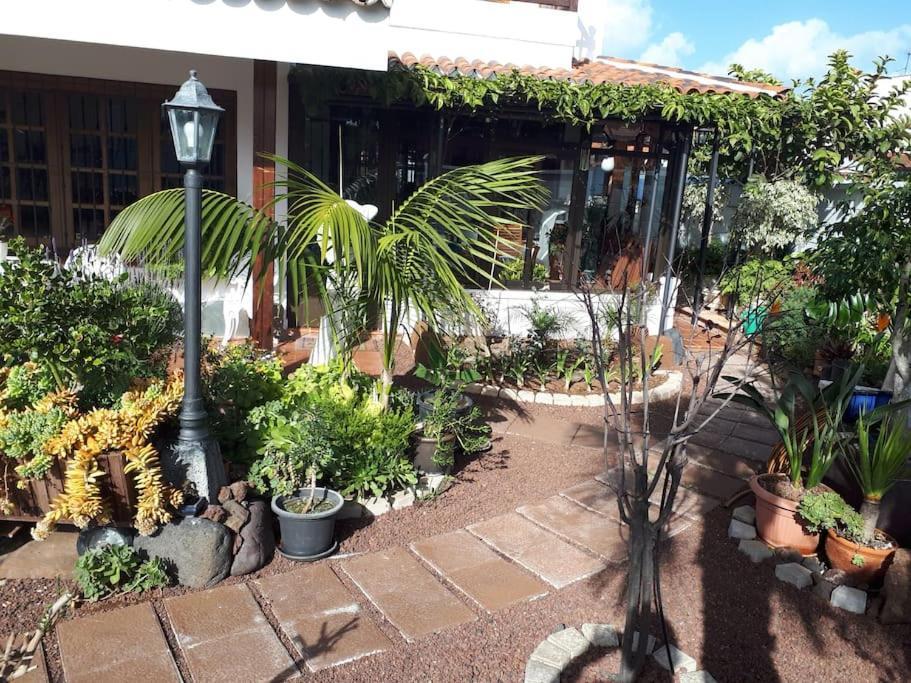 Apartamento Tranquilo En Una Casa Con Jardin San Cristóbal de La Laguna Exterior foto